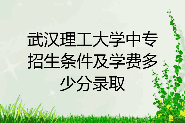 武汉理工大学中专招生条件及学费多少分录取