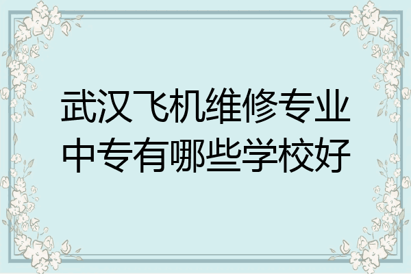 武汉飞机维修专业中专有哪些学校好