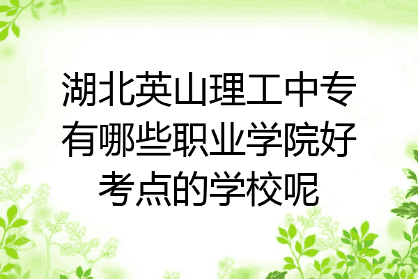 湖北英山理工中专有哪些职业学院好考点的学校呢