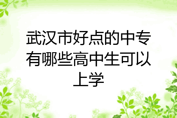 武汉市好点的中专有哪些高中生可以上学