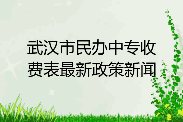 武汉市民办中专收费表最新政策新闻