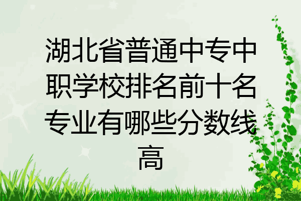 湖北省普通中专中职学校排名前十名专业有哪些分数线高