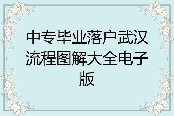 中专毕业落户武汉流程图解大全电子版