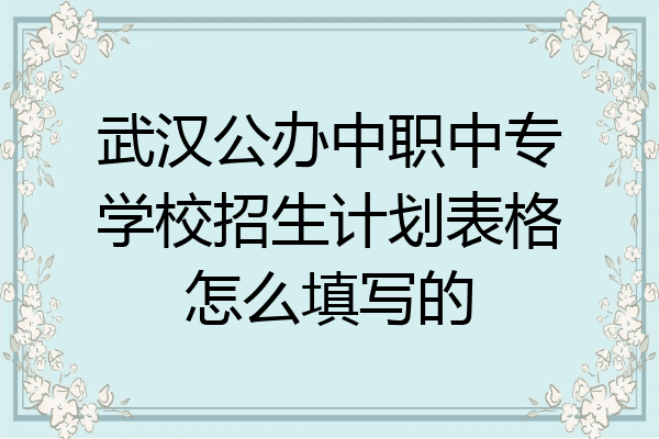 武汉公办中职中专学校招生计划表格怎么填写的