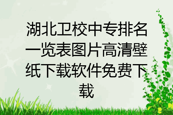 湖北卫校中专排名一览表图片高清壁纸下载软件免费下载