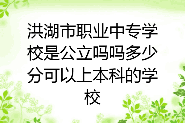 洪湖市职业中专学校是公立吗吗多少分可以上本科的学校