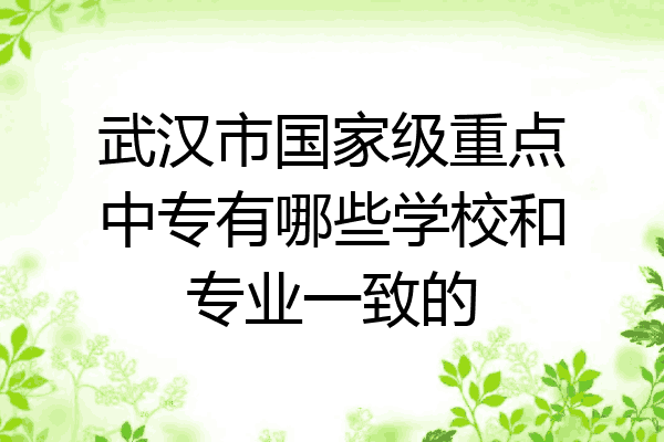 武汉市国家级重点中专有哪些学校和专业一致的