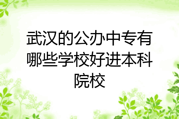 武汉的公办中专有哪些学校好进本科院校
