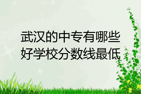 武汉的中专有哪些好学校分数线最低