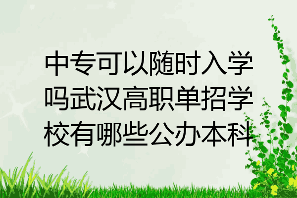 中专可以随时入学吗武汉高职单招学校有哪些公办本科