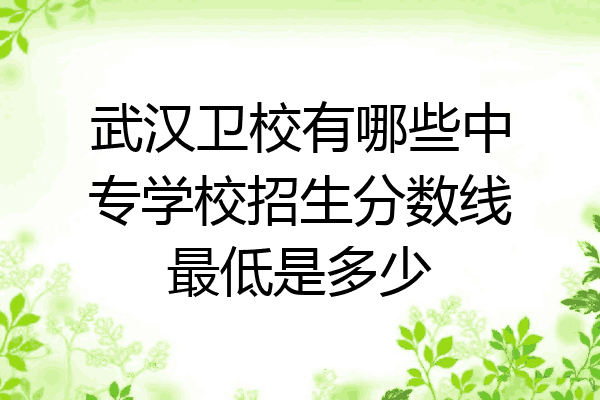 武汉卫校有哪些中专学校招生分数线最低是多少