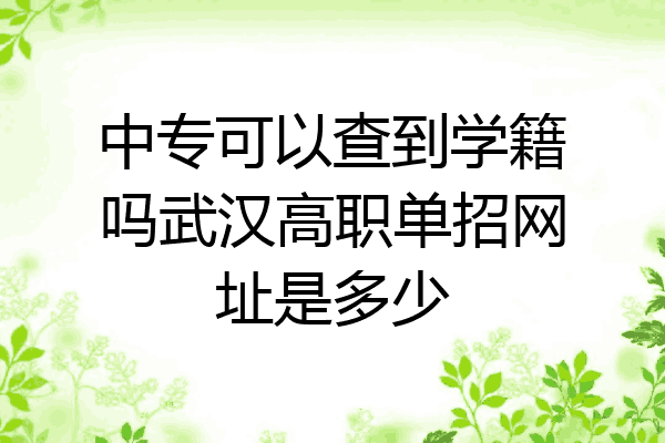 中专可以查到学籍吗武汉高职单招网址是多少