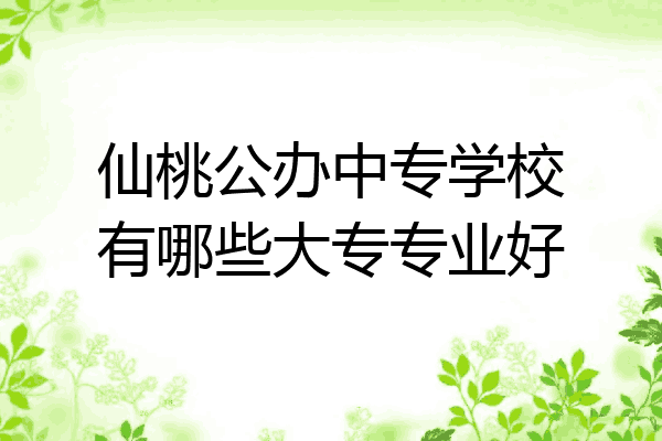 仙桃公办中专学校有哪些大专专业好