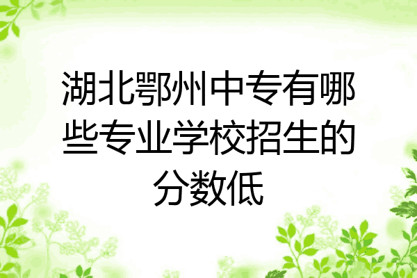 湖北鄂州中专有哪些专业学校招生的分数低
