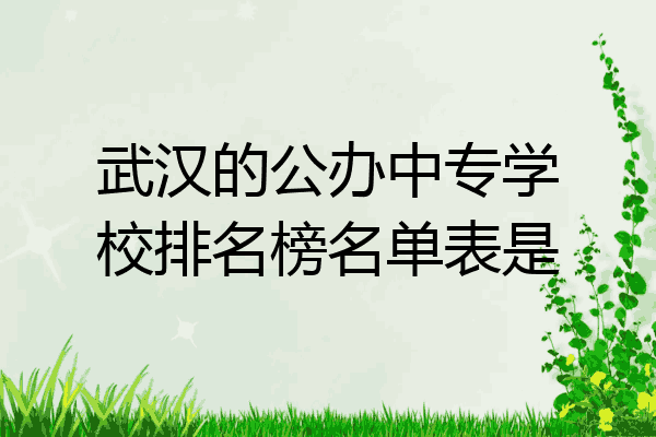 武汉的公办中专学校排名榜名单表是