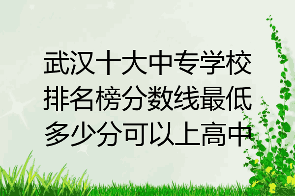 武汉十大中专学校排名榜分数线最低多少分可以上高中