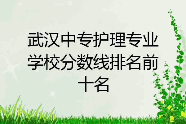 武汉中专护理专业学校分数线排名前十名