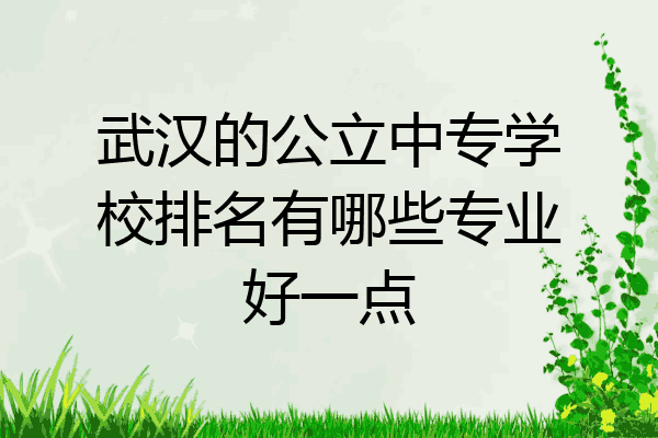 武汉的公立中专学校排名有哪些专业好一点