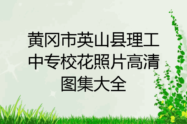 黄冈市英山县理工中专校花照片高清图集大全