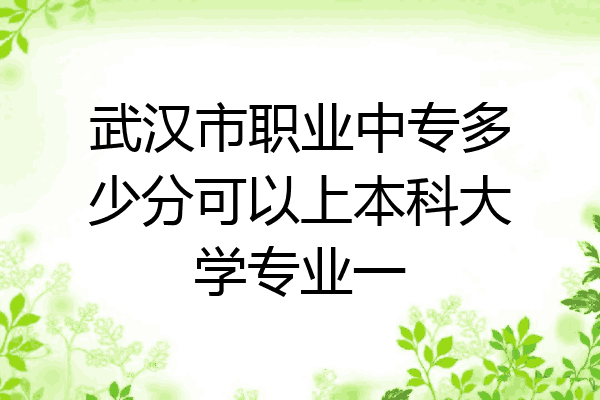 武汉市职业中专多少分可以上本科大学专业一