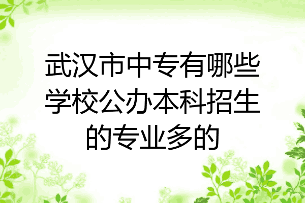 武汉市中专有哪些学校公办本科招生的专业多的