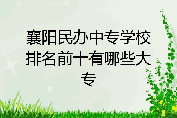 襄阳民办中专学校排名前十有哪些大专