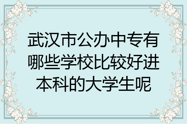 武汉市公办中专有哪些学校比较好进本科的大学生呢