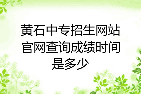 黄石中专招生网站官网查询成绩时间是多少