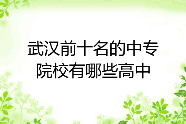 武汉前十名的中专院校有哪些高中