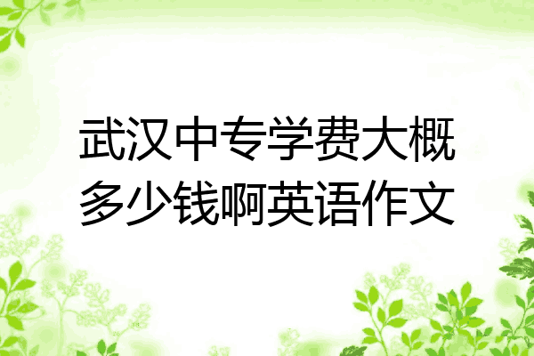 武汉中专学费大概多少钱啊英语作文