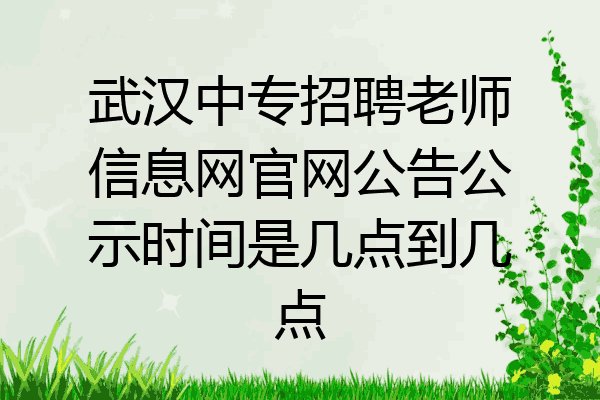 武汉中专招聘老师信息网官网公告公示时间是几点到几点