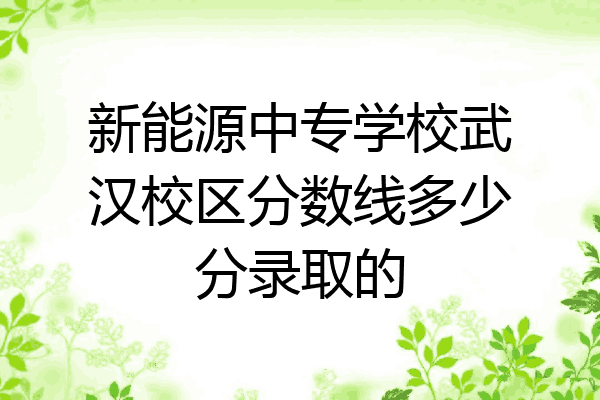 新能源中专学校武汉校区分数线多少分录取的