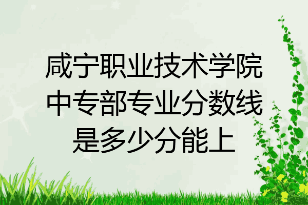 咸宁职业技术学院中专部专业分数线是多少分能上
