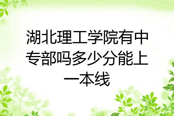 湖北理工学院有中专部吗多少分能上一本线