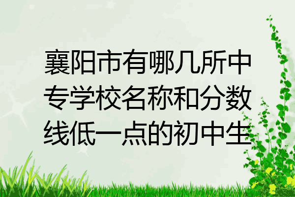 襄阳市有哪几所中专学校名称和分数线低一点的初中生