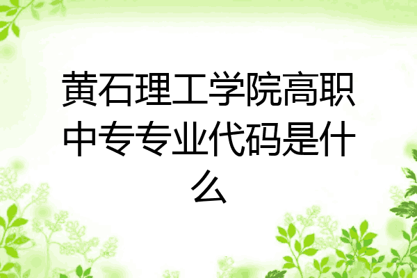 黄石理工学院高职中专专业代码是什么