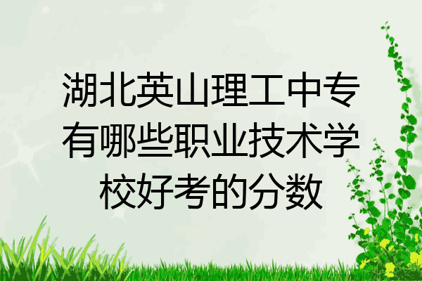 湖北英山理工中专有哪些职业技术学校好考的分数