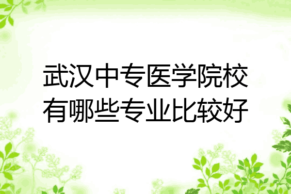 武汉中专医学院校有哪些专业比较好