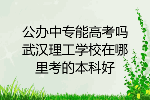 公办中专能高考吗武汉理工学校在哪里考的本科好