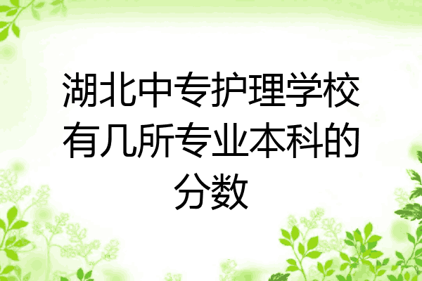 湖北中专护理学校有几所专业本科的分数