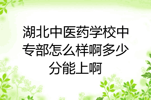 湖北中医药学校中专部怎么样啊多少分能上啊