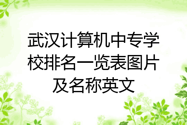 武汉计算机中专学校排名一览表图片及名称英文