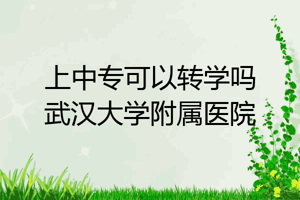 上中专可以转学吗武汉大学附属医院