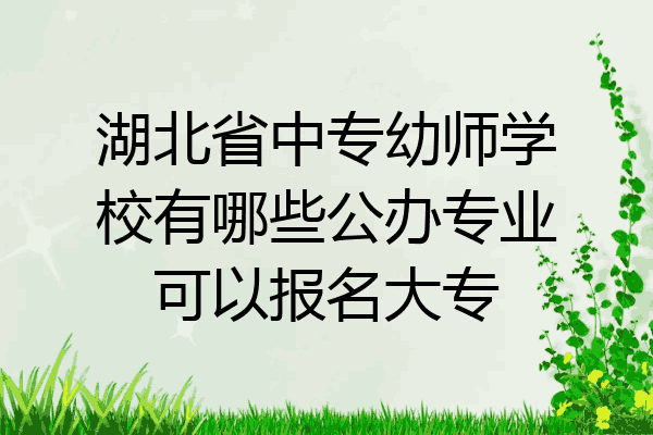 湖北省中专幼师学校有哪些公办专业可以报名大专