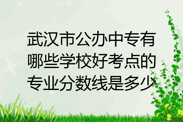 武汉市公办中专有哪些学校好考点的专业分数线是多少