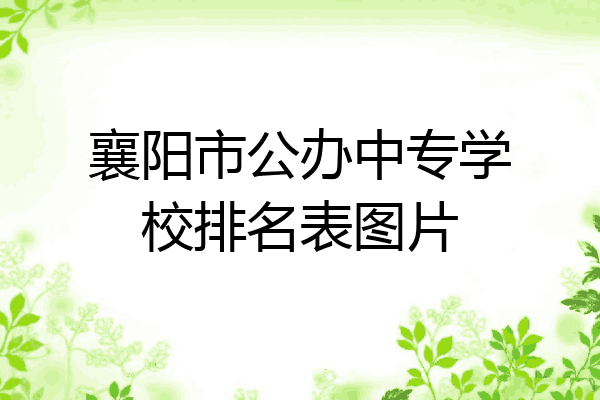 襄阳市公办中专学校排名表图片