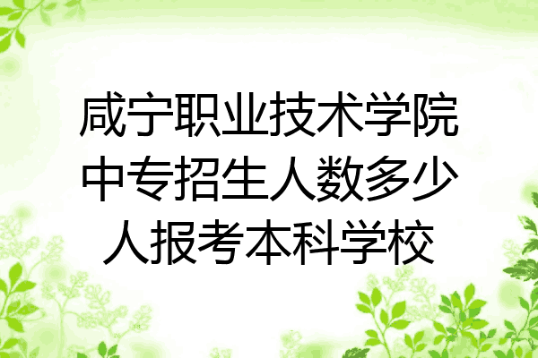 咸宁职业技术学院中专招生人数多少人报考本科学校