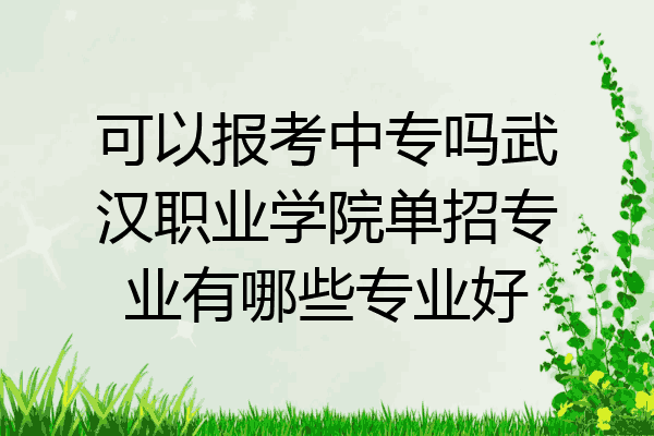 可以报考中专吗武汉职业学院单招专业有哪些专业好