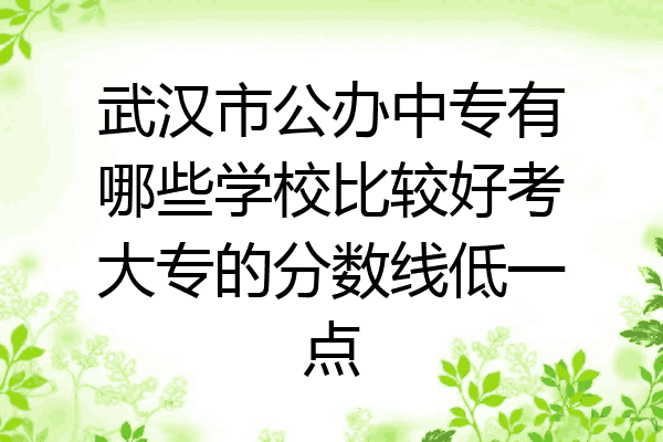 武汉市公办中专有哪些学校比较好考大专的分数线低一点