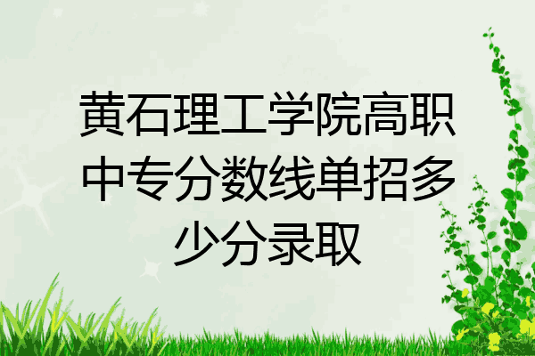 黄石理工学院高职中专分数线单招多少分录取